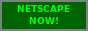 Netscape Navigator